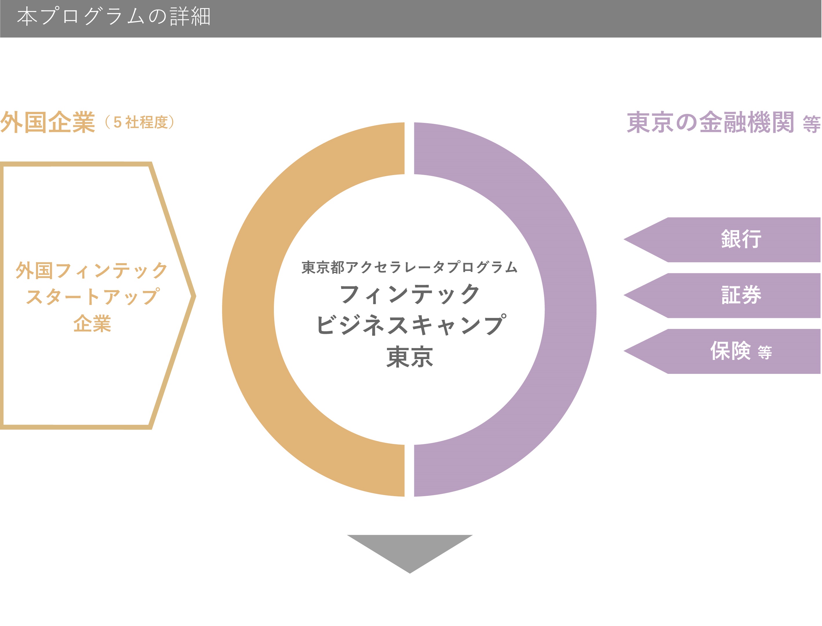 Details of the Program