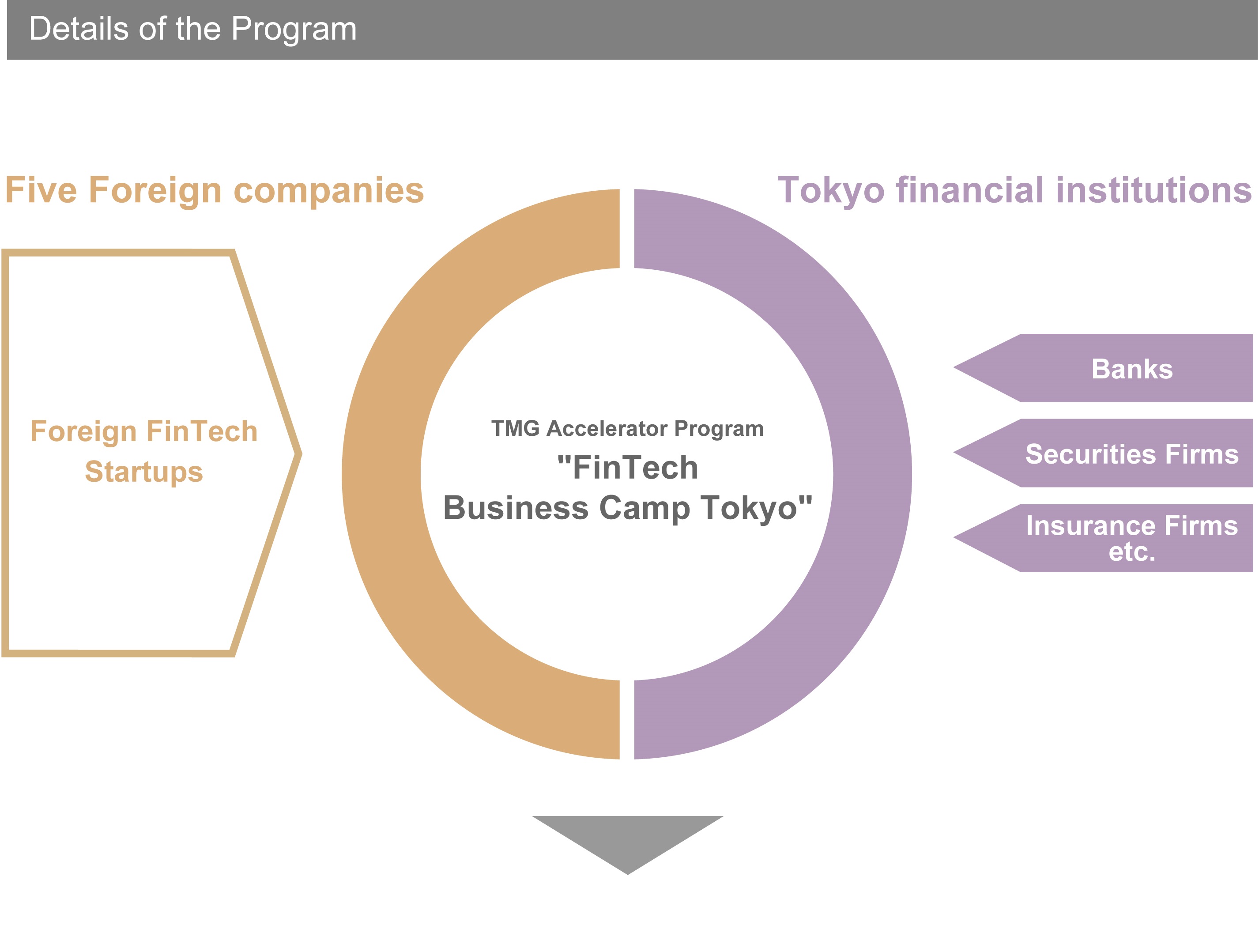 Details of the Program