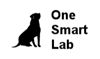 one smart lab
